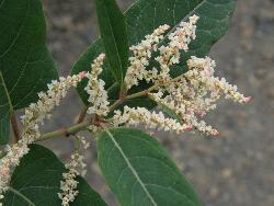 Image: Trevor James © Trevor James 